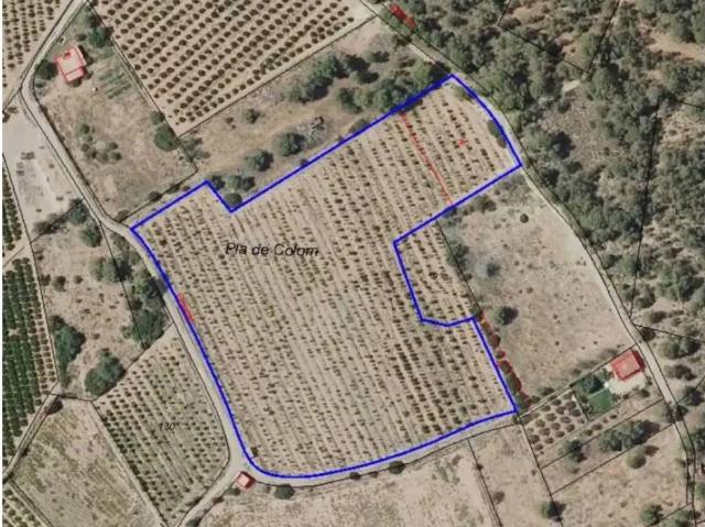 Terreno en Venta en Bétera
