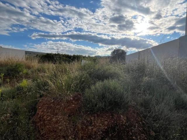 Terreno en venta en Betxí, Comunidad valenciana