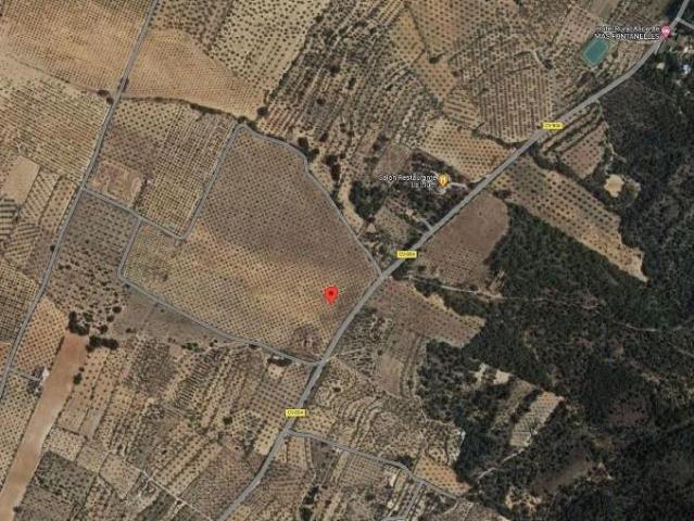 Terreno en venta en Biar