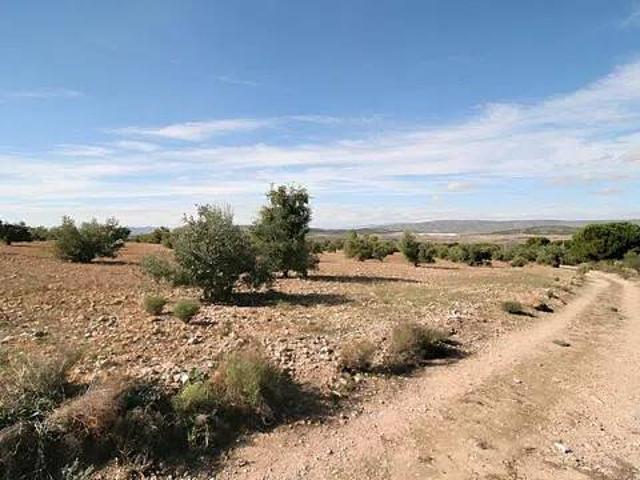 Terreno en Venta en Biar