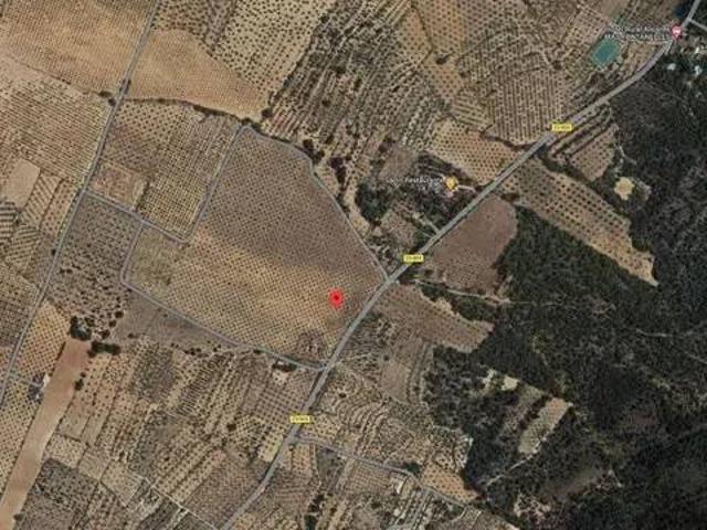 Terreno en Venta en Biar