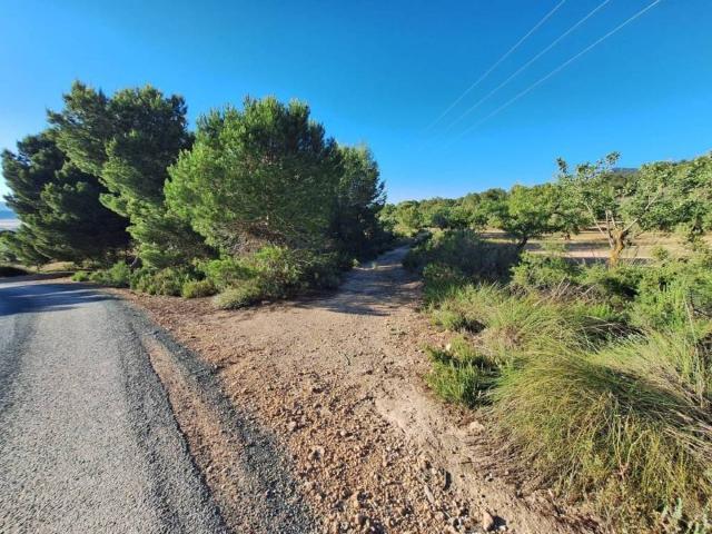 Terreno en Venta en Biar