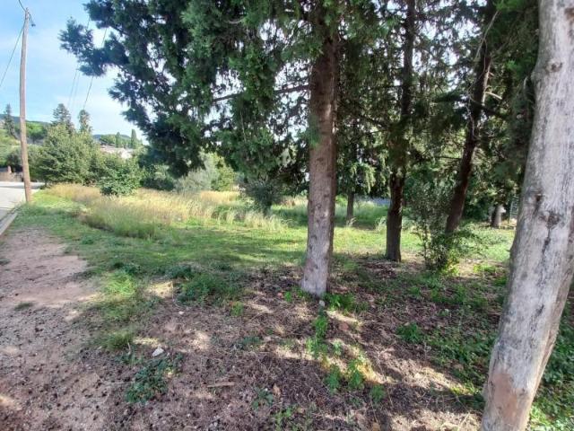 Terreno en venta en Bigues i Riells, Bigues I Riells