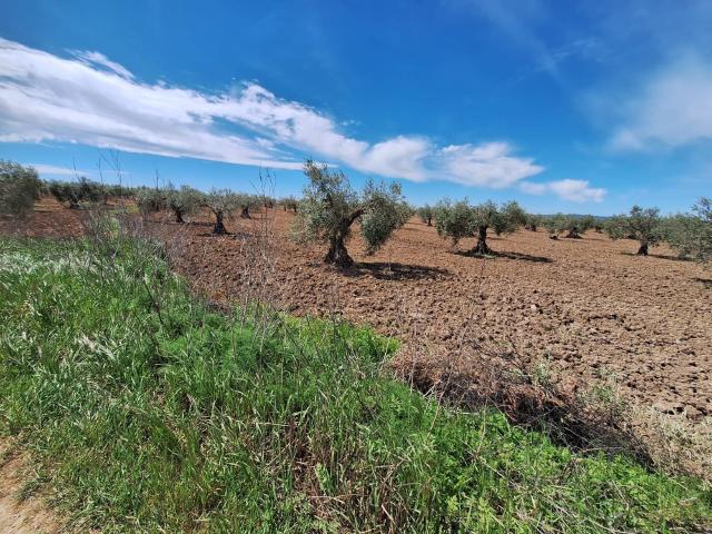 Terreno en venta en Bienvenida