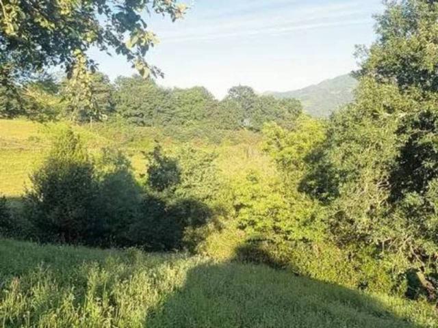 Terreno en Venta en Bimenes