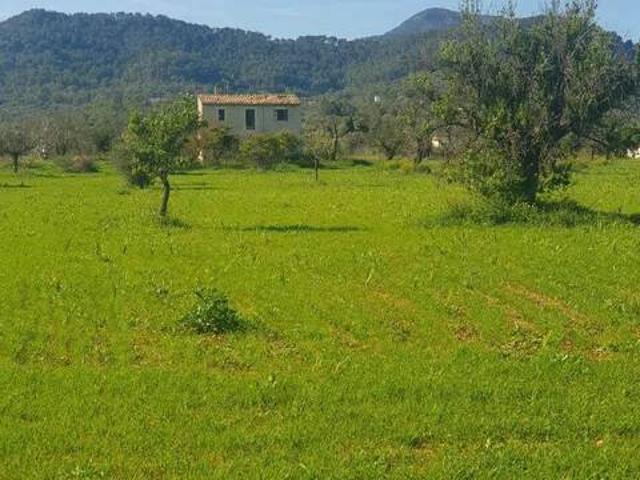 Terreno en Venta en Binissalem