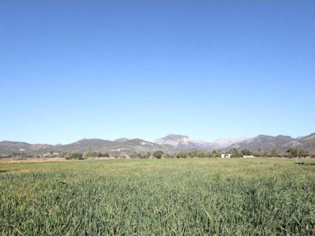 Terreno en Venta en Binissalem
