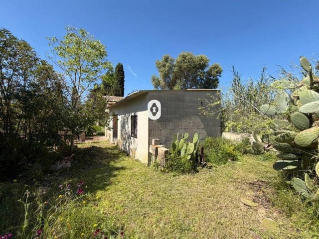 Terreno en Venta en Binissalem
