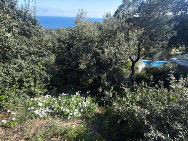 Terreno en Venta en Blanes