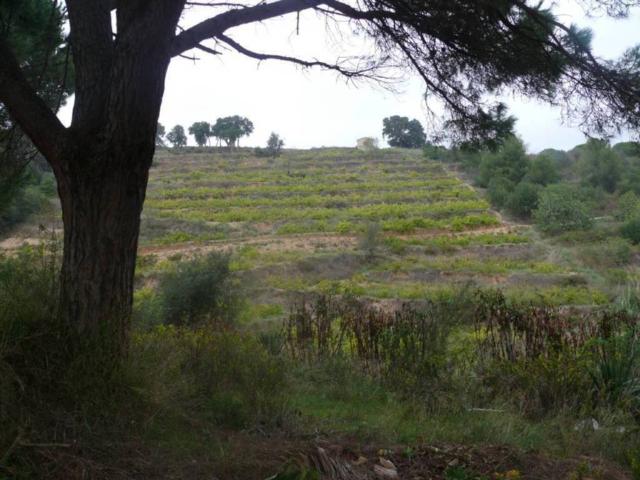 Terreno en Venta en Blanes