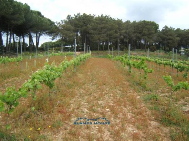 Terreno en Venta en Blanes