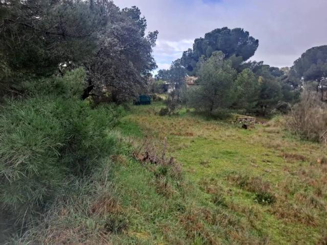 Terreno en Venta en Boadilla del Monte