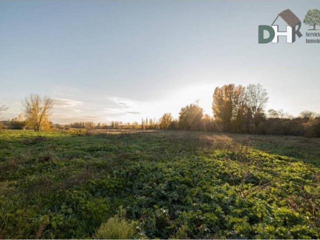 Terreno en Venta en Boadilla del Monte
