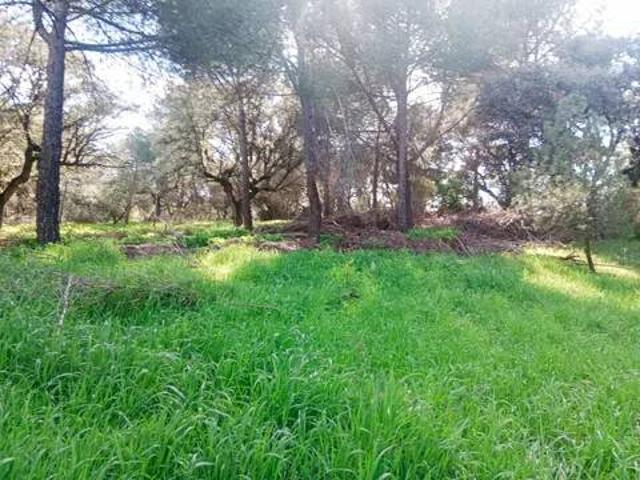 Terreno en Venta en Boadilla del Monte