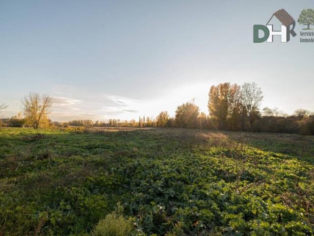 Terreno en Venta en Boadilla del Monte