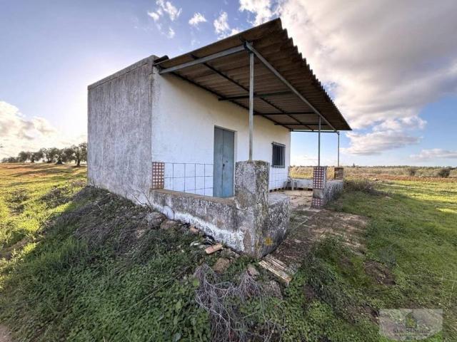 Terreno en Venta en Bollullos Par del Condado