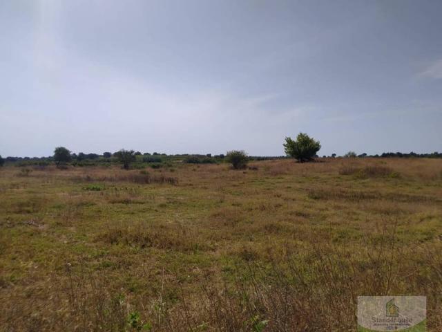 Terreno en Venta en Bollullos Par del Condado