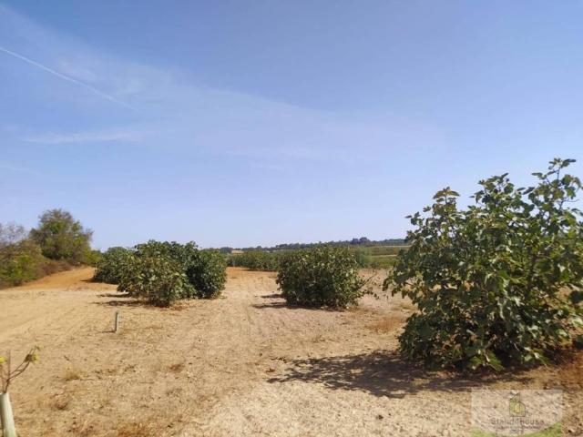 Terreno en Venta en Bollullos Par del Condado