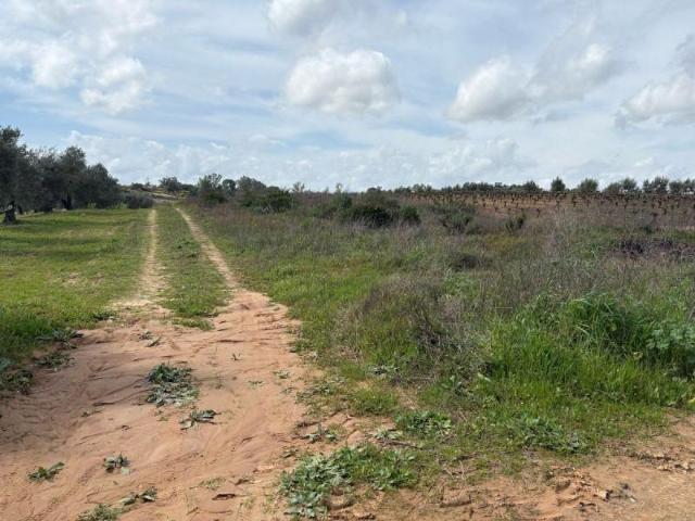 Terreno en venta en Bollullos par del Condado, Periferia