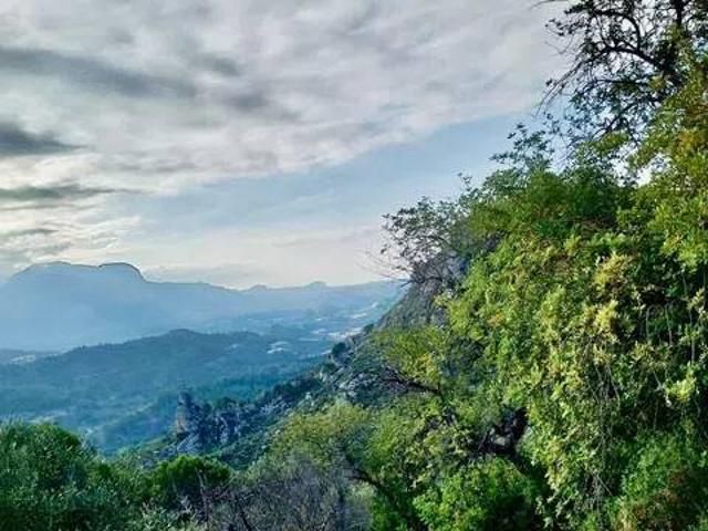 Terreno en Venta en Bolulla