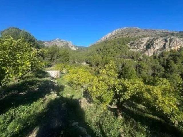 Terreno en Venta en Bolulla