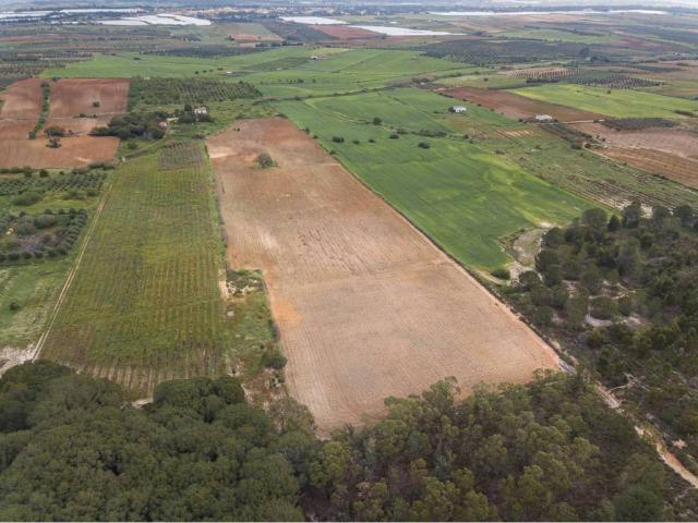 Terreno en Venta en Bonares