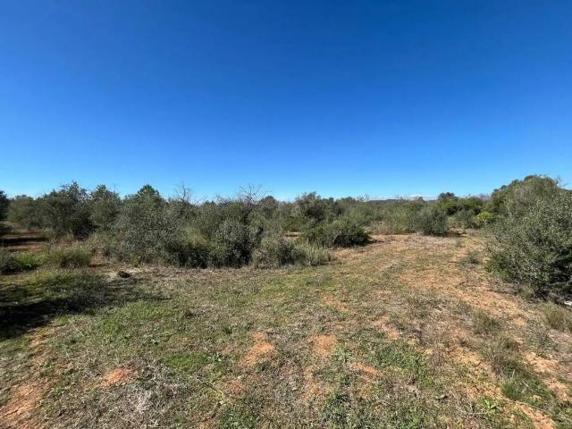 Terreno en Venta en Bonastre