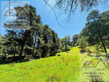 Terreno en venta en Bosque de Ciclo Verde Las Vigas Veracruz