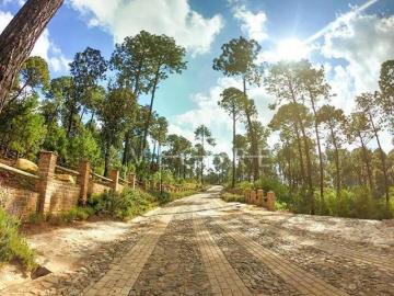 TERRENO EN VENTA EN BOSQUES DE LA CAÑADA, TAPALPA