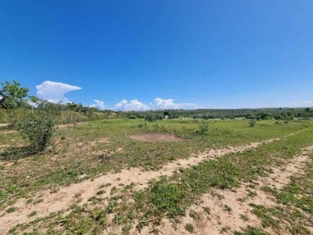 Terreno en Venta en Bormujos