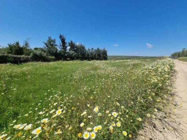 Terreno en Venta en Bormujos
