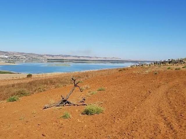 Terreno en venta en Bornos, Bornos