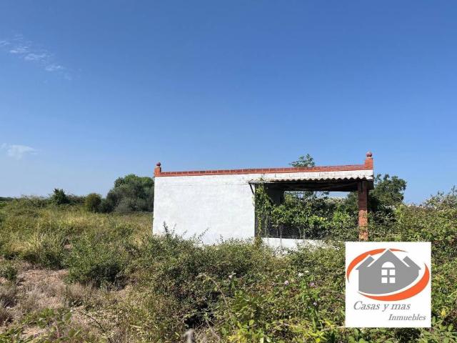 Terreno en Venta en Borriana Burriana