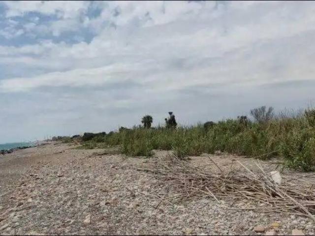 Terreno en Venta en Borriana Burriana