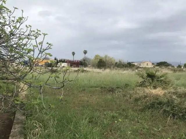 Terreno en Venta en Borriana Burriana