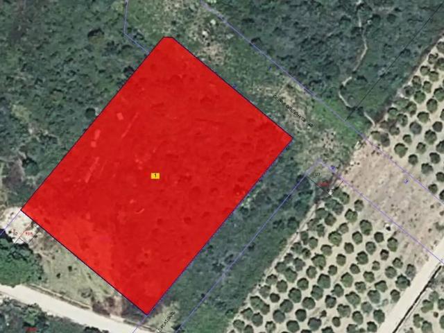 Terreno en Venta en Borriana Burriana