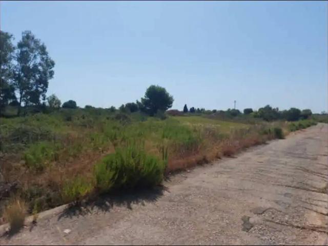 Terreno en Venta en Borriana Burriana