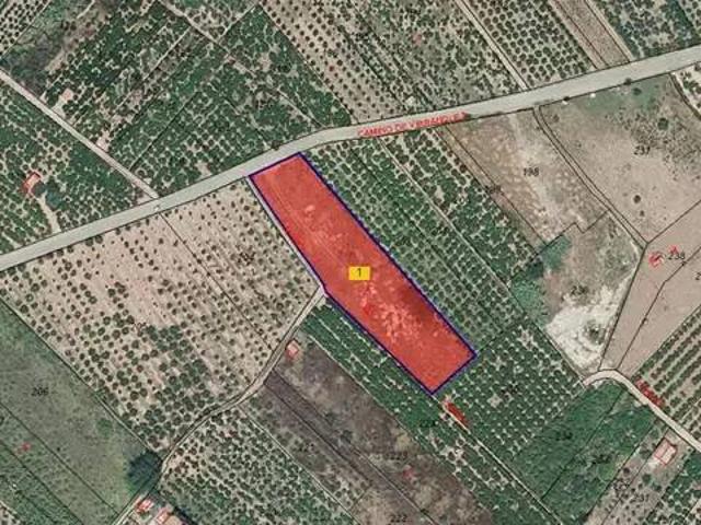 Terreno en Venta en Borriana Burriana