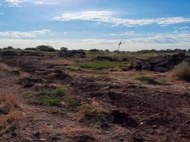 Terreno en Venta en Borriana Burriana
