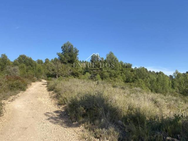 Terreno en Venta en Borriol