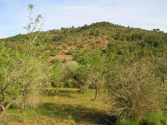 Terreno en Venta en Borriol