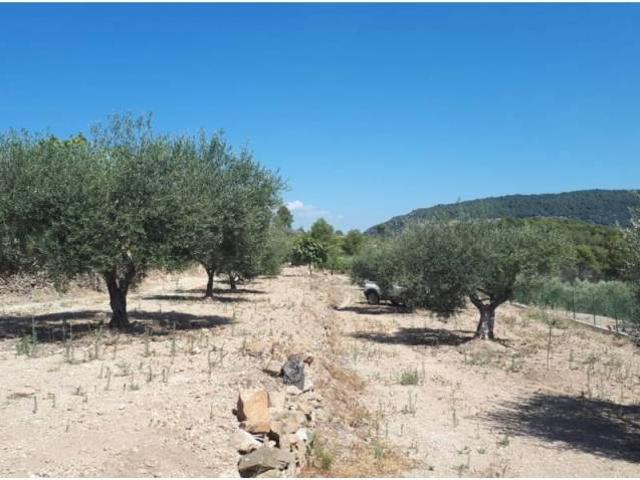 Terreno en Venta en Borriol
