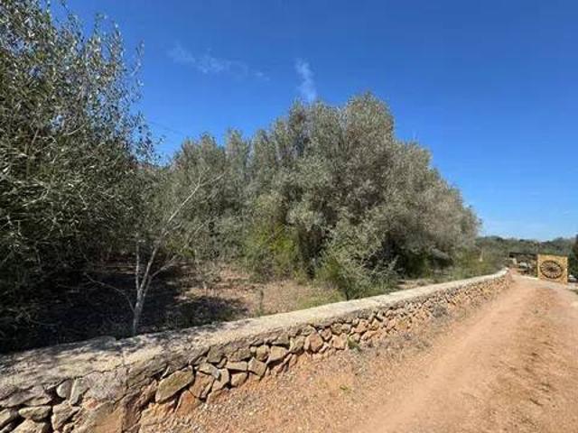 Terreno en Venta en Borriol