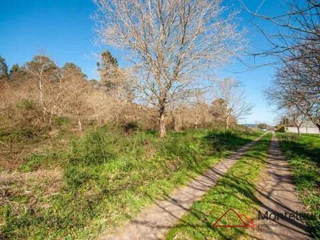 Terreno en Venta en Brión