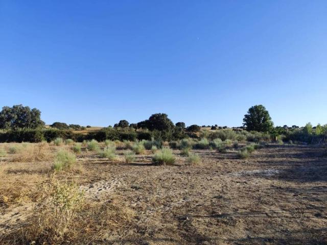 Terreno en Venta en Brunete
