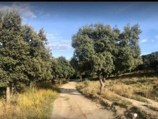 Terreno en Venta en Brunete