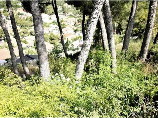 Terreno en Venta en Cubelles