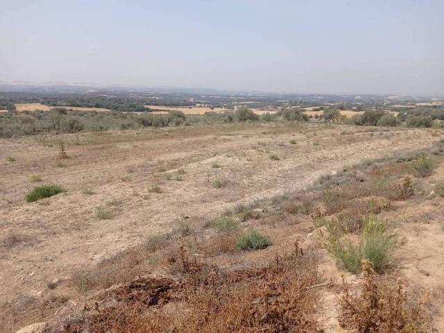 Terreno en venta en Cubells, de 14.200 m² por 15.000