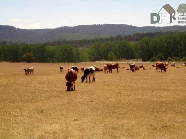 Terreno en Venta en Cuenca