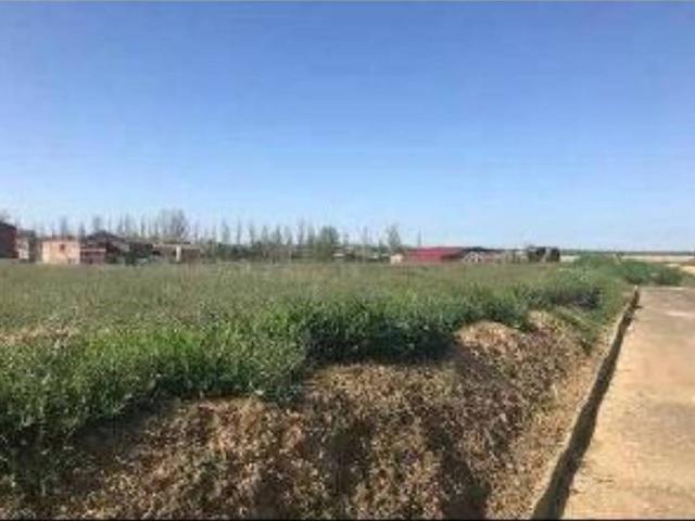 Terreno en Venta en Cuenca de Campos